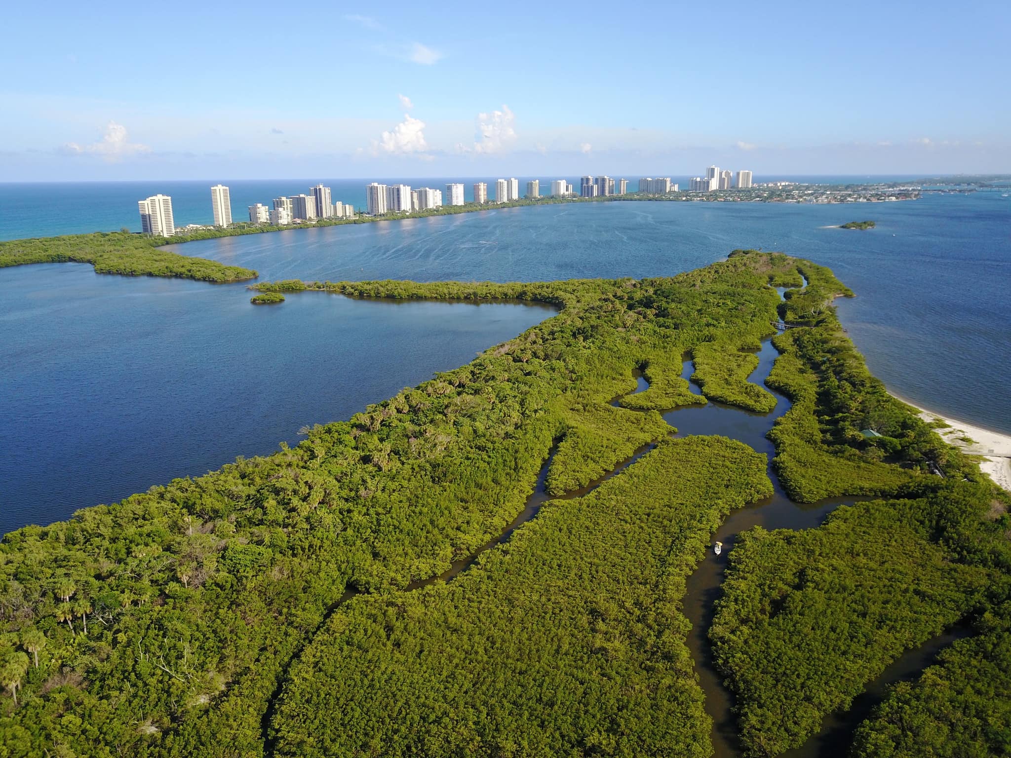 John D. MacArthur Beach State Park with the Singer Island towers on the horizon