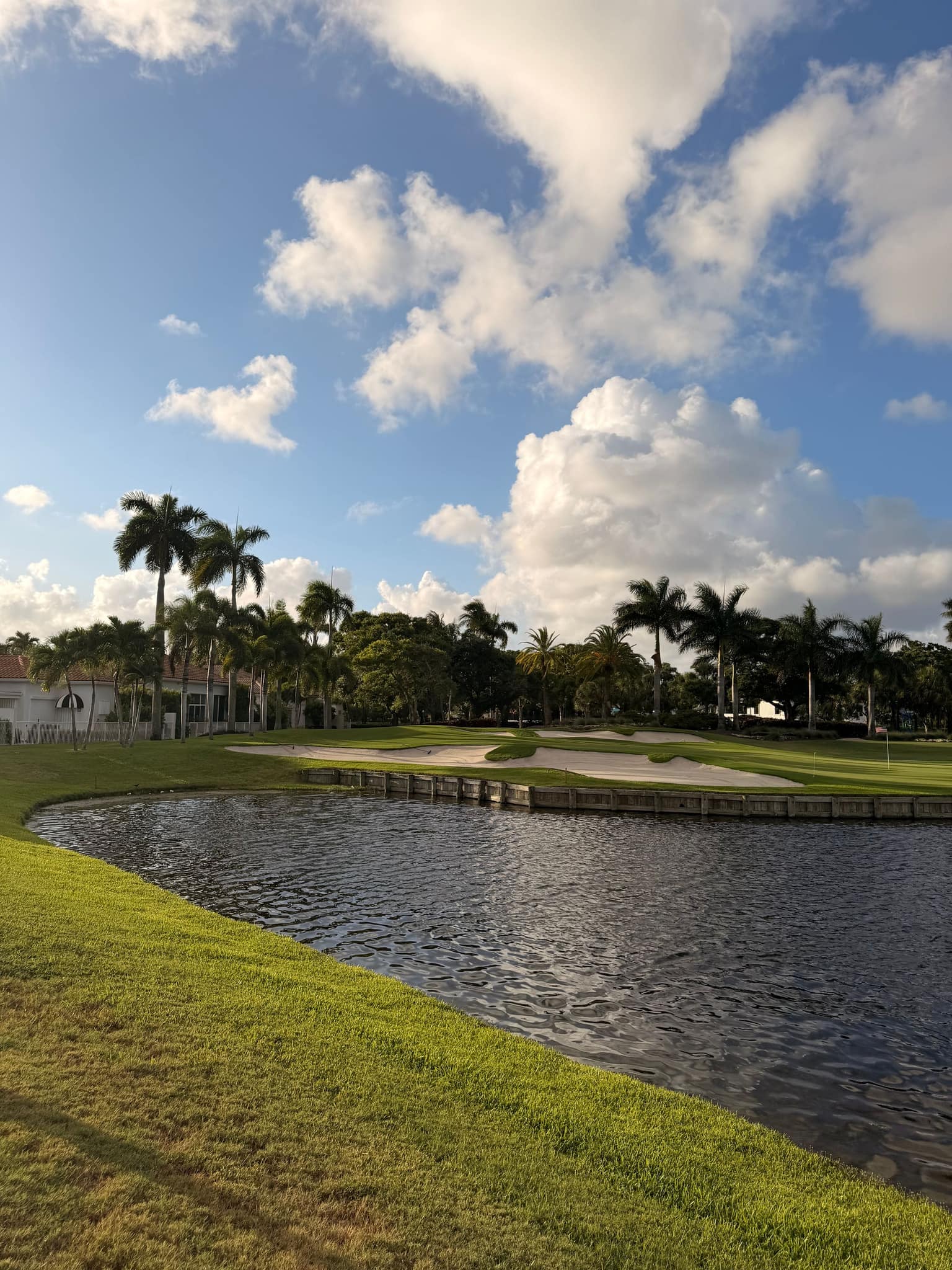 A lake lined with royal palms, Boca Raton
