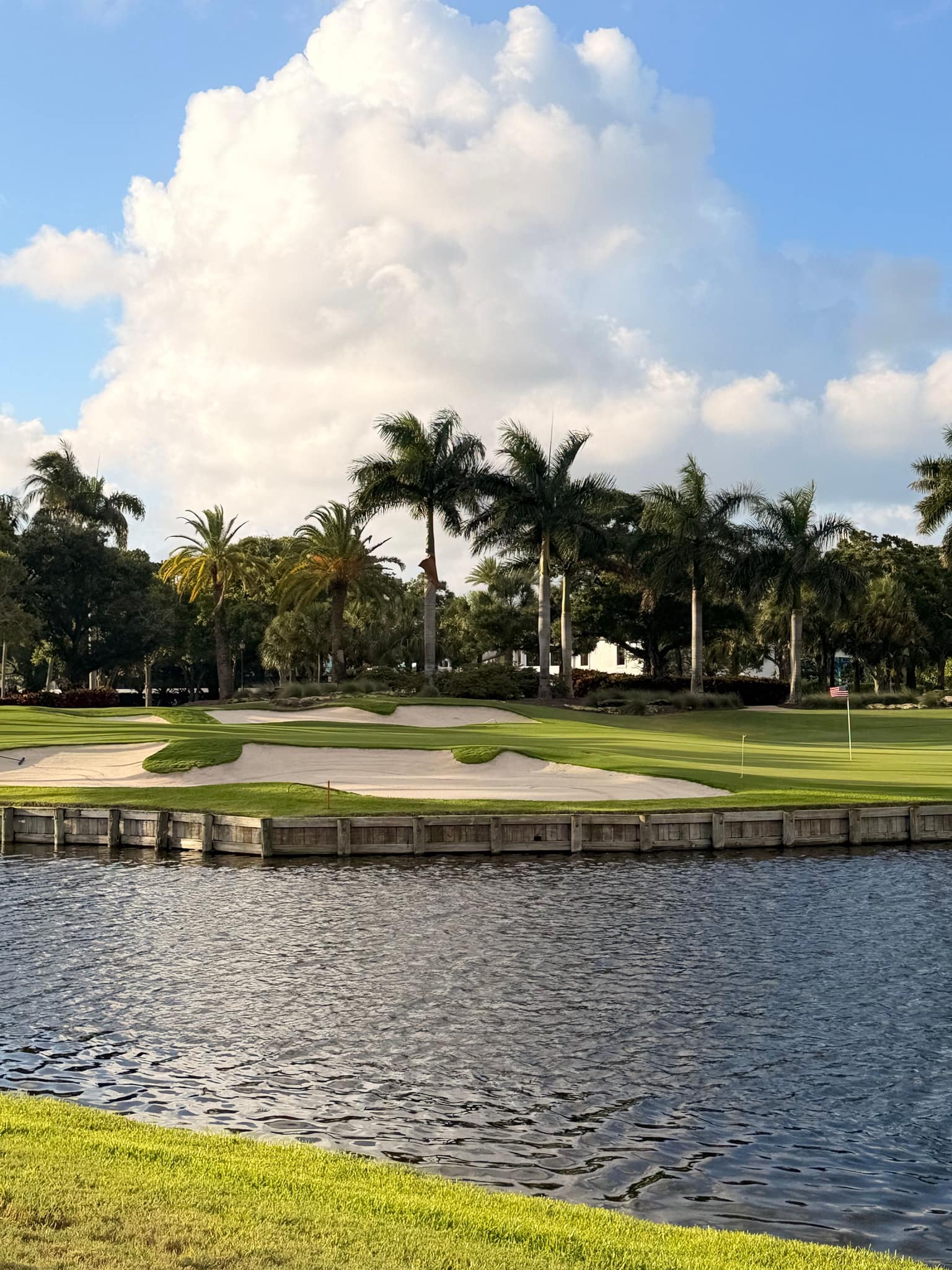 A palm-lined green beside the water, Palm Beach County