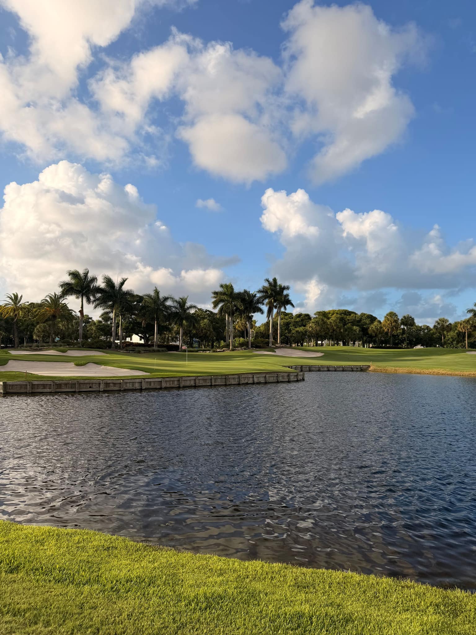 A lake and palms on a sunny afternoon, Palm Beach County