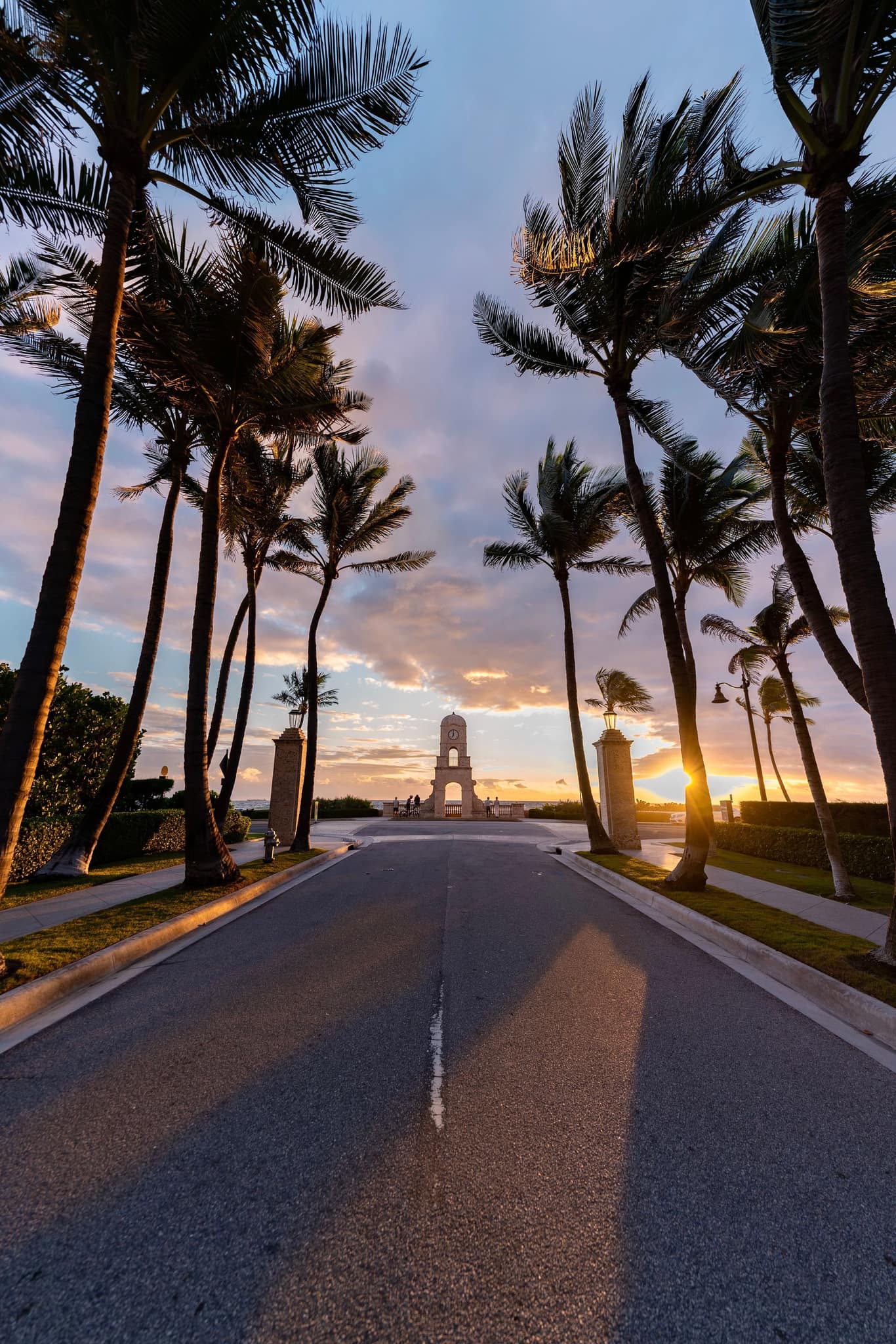 The palm-lined approach to Worth Avenue at sunrise, Palm Beach